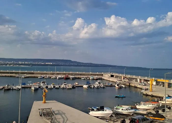 Violasuite In South Bay By Rv