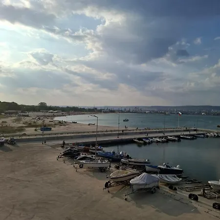 Apartment Violasuite In South Bay By Rv