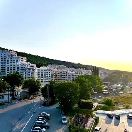 Apartment Violasuite In South Bay By Rv *