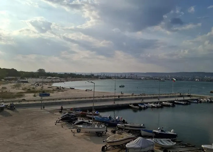 Apartment Violasuite In South Bay By Rv